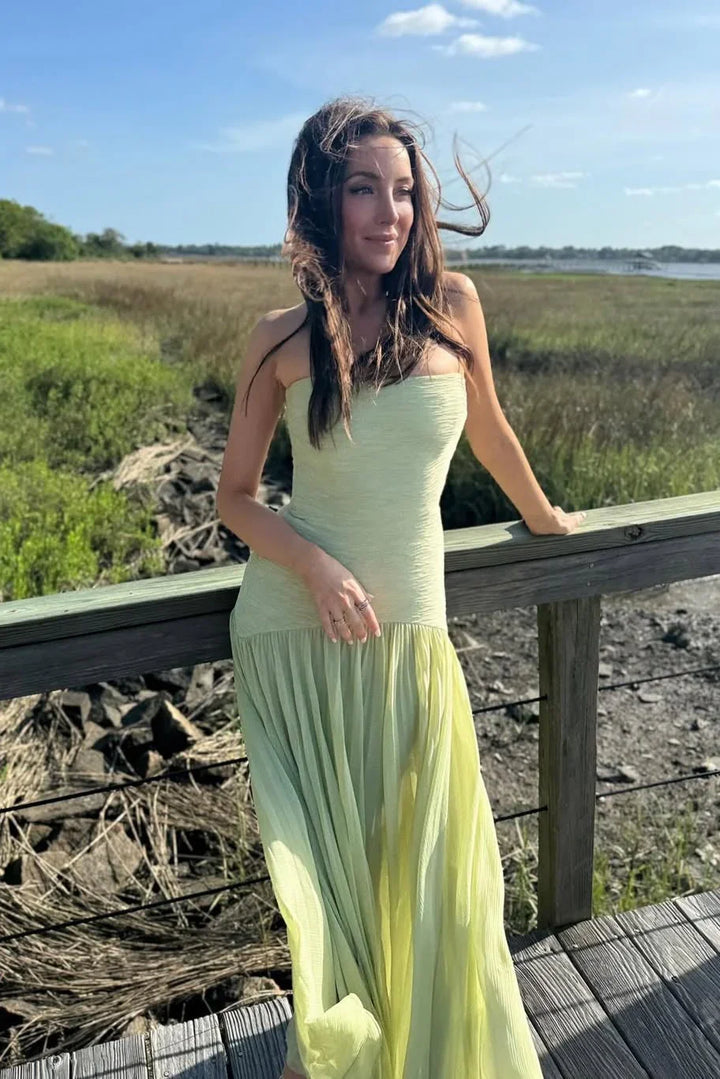Elena | Long Pleated Dress